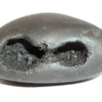 Akasha Narsimha Shaligram