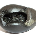 Shuddha Krishna Shaligram