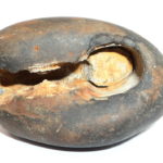 MahaJwala Narsimha Shaligram