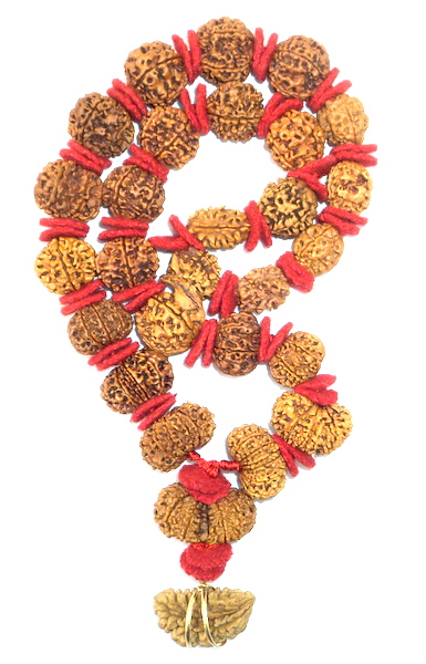 Siddha Mala - Collector Size Beads Of Nepal