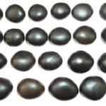 Set of Plane Shaligrams (without Chakra Marks)