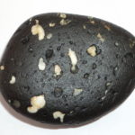 Adwaitya Shweta Dwarkadheesh Radha Krishna Sridhara Jagannath