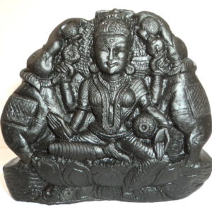 Laxmi Idols Carved on Natural Shaligrams