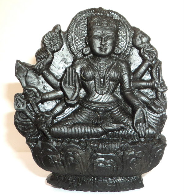 Dhairya Lakshmi Murti Carved on Sudarshan Shaligram