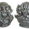 Laxmi Ganesha Murti Carved on Sudarshan Shaligram