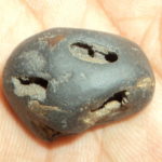 Pitamaha Shaligram