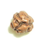 Three Face Rudraksha of Java