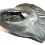 Laxmi Varaha Shaligram