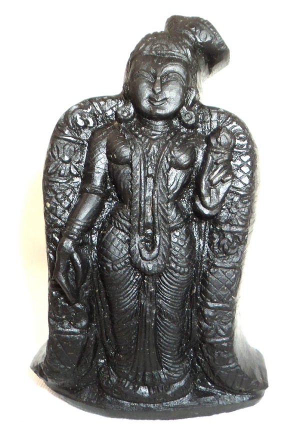 Indra Lakshmi / Samanya Lakshmi Carved on Sudarshan Shaligram