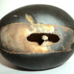 Hari Shaligram
