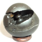 Balarama Shaligram