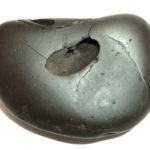 Janardhana Shaligram