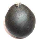 Sarvottam Shweta Buddha Narayan Shaligram