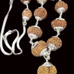 Rudraksha Siddha Mala - Nepal - Collector Size