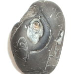 Gadadhara Shaligram