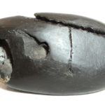 Shrivatsa Matsya Shaligram