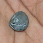 ShriMurti Shaligram