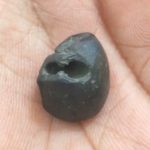Hari Shaligram