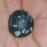 Govinda Shaligram