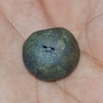 Janardhana Shaligram