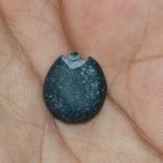 Sarvagna Shrungara Buddha Shaligram