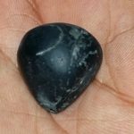 Manoratha Kurma Shaligram