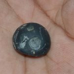 Dhananjaya Shaligram