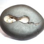 Vijaya Narsimha Shaligram