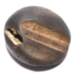 Yagna Shaligram
