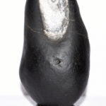 Mahashakti Devi Shaligram