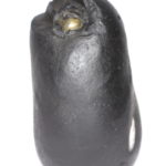 Mahashakti Devi Shaligram