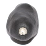 Mahashakti Devi Shaligram