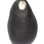 Mahashakti Devi Shaligram