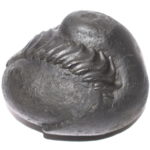 Nandi Shaligram