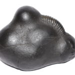 Nandi Shaligram