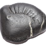 Radha Krishna Shaligram
