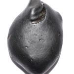 Buddha Shaligram