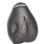 Saraswati Shaligram