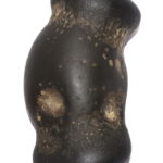 Taarksya Shaligram