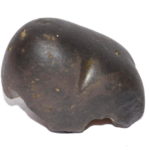 Manoratha Kurma Shaligram