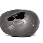 ShushiRankita Matsya Shaligram