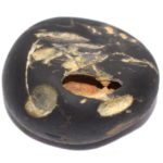 Hari Shaligram