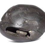 Catushcakra Parivara Pattabhi Rama Shaligram