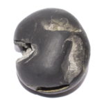 Manoratha Kurma Shaligram