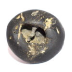 Vaikuntha Shaligram