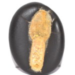 MahaVishnu Gada Shaligram
