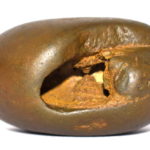 Pitambara Shaligram