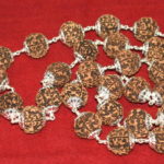 5 Mukhi Rudraksha Kantha In Silver - 33 Beads - Collector Size