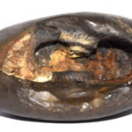Vijaya Narsimha Shaligram