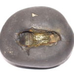 Vidarana Narsimha Shaligram